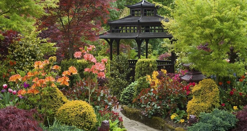 Creating a Japanese-Inspired Garden